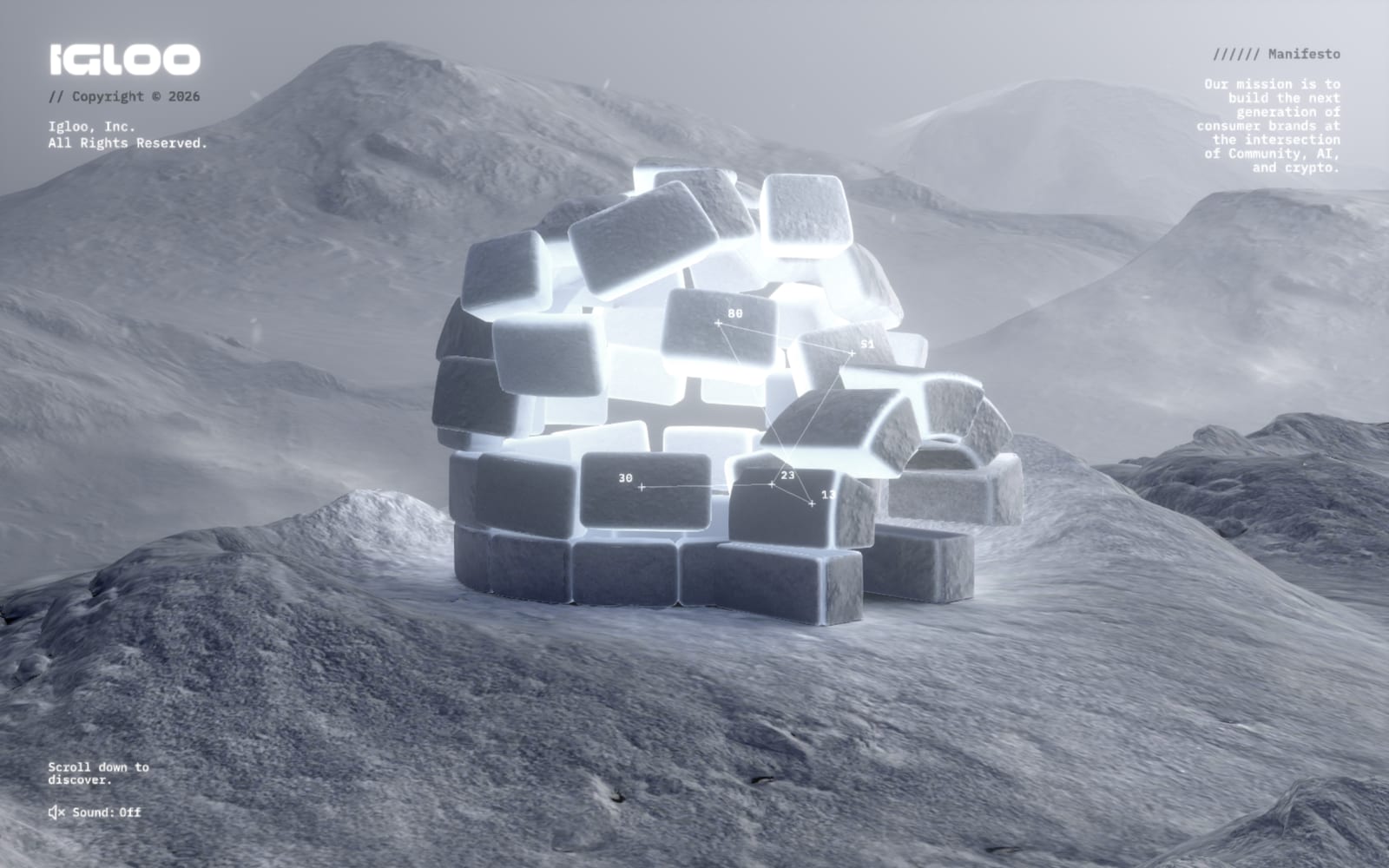 Screenshot of the Igloo Inc. website
